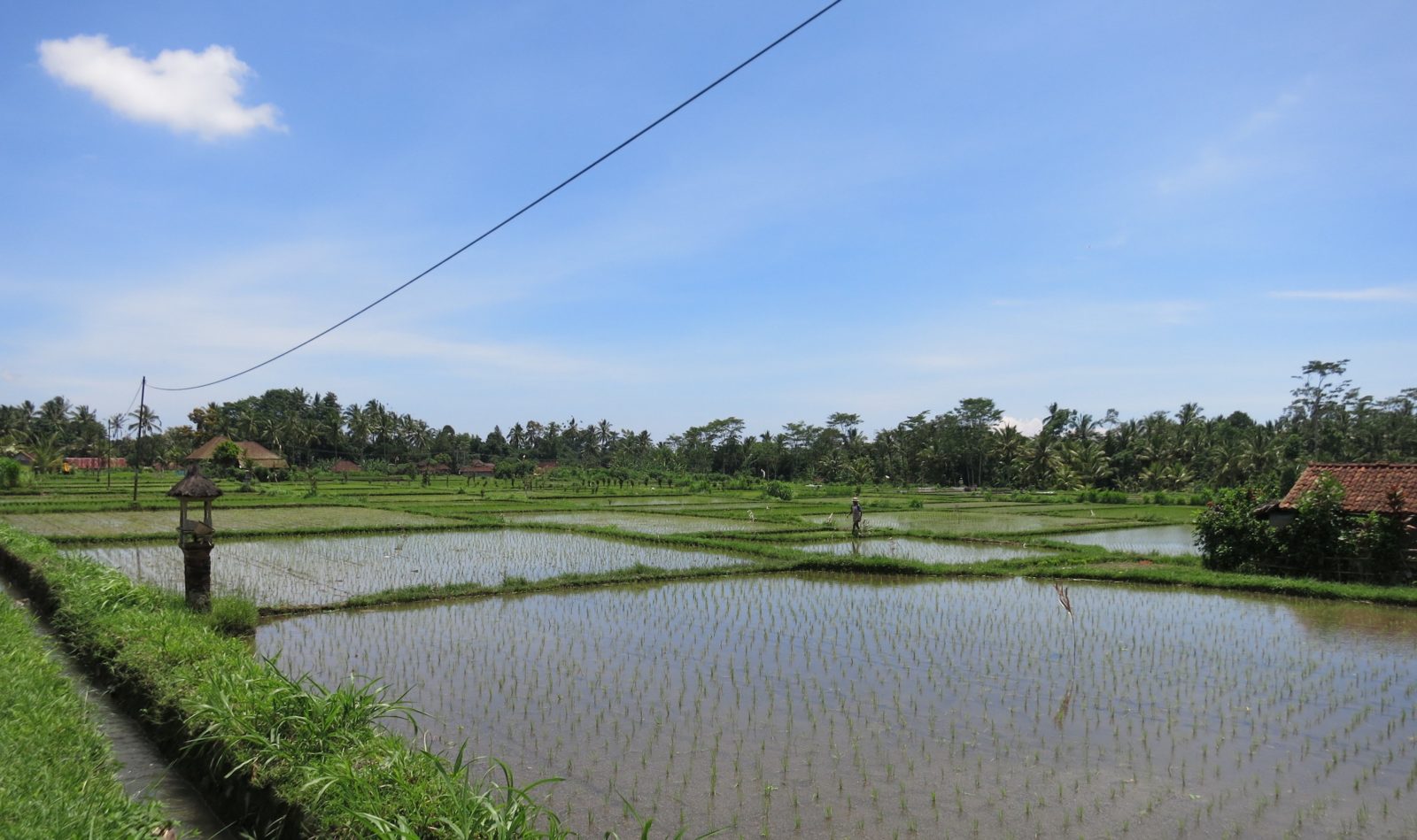 Reisfelder Bali Radtour
