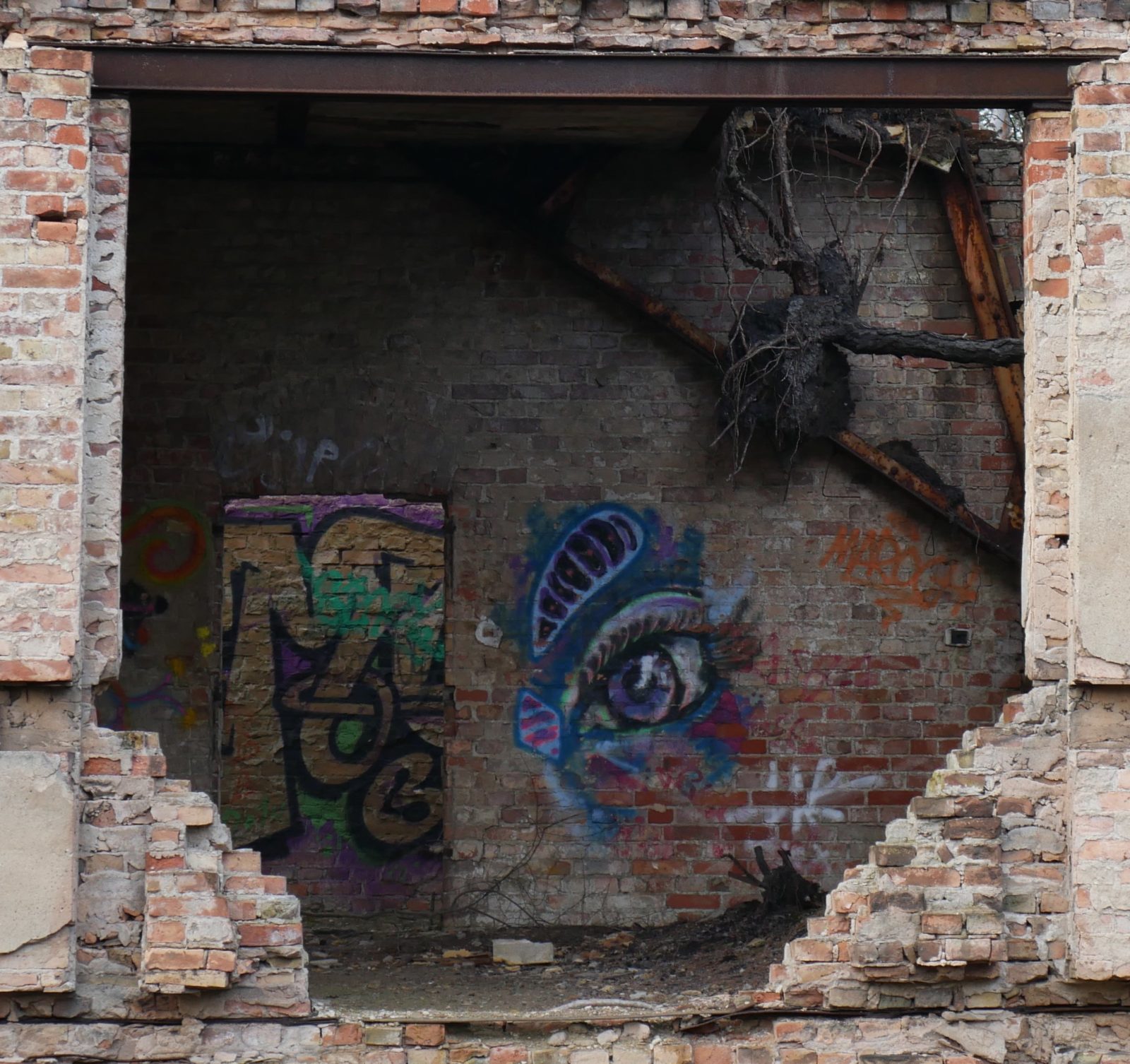Ruine Baumkronenpfad Beelitz Heilstätten