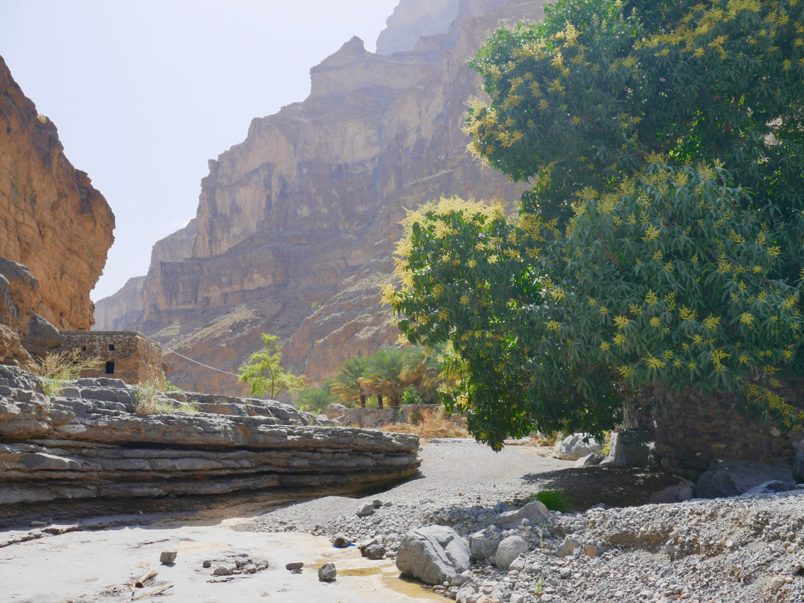 Das Wadi Nakhar wird auch als der Grand Canyon des Omans bezeichnet. Die 7 km lange Piste bis zum Dorf Al-Nakhar ist nur mit Geländewagen befahrbar. Steile Felswände, teilweise bis zu 2.000 m Höhe ragen an den Seiten empor. Teilweise befällt einen ein etwas beklemmendes Gefühl. Aber die Gegend ist wunderschön und einmalig.