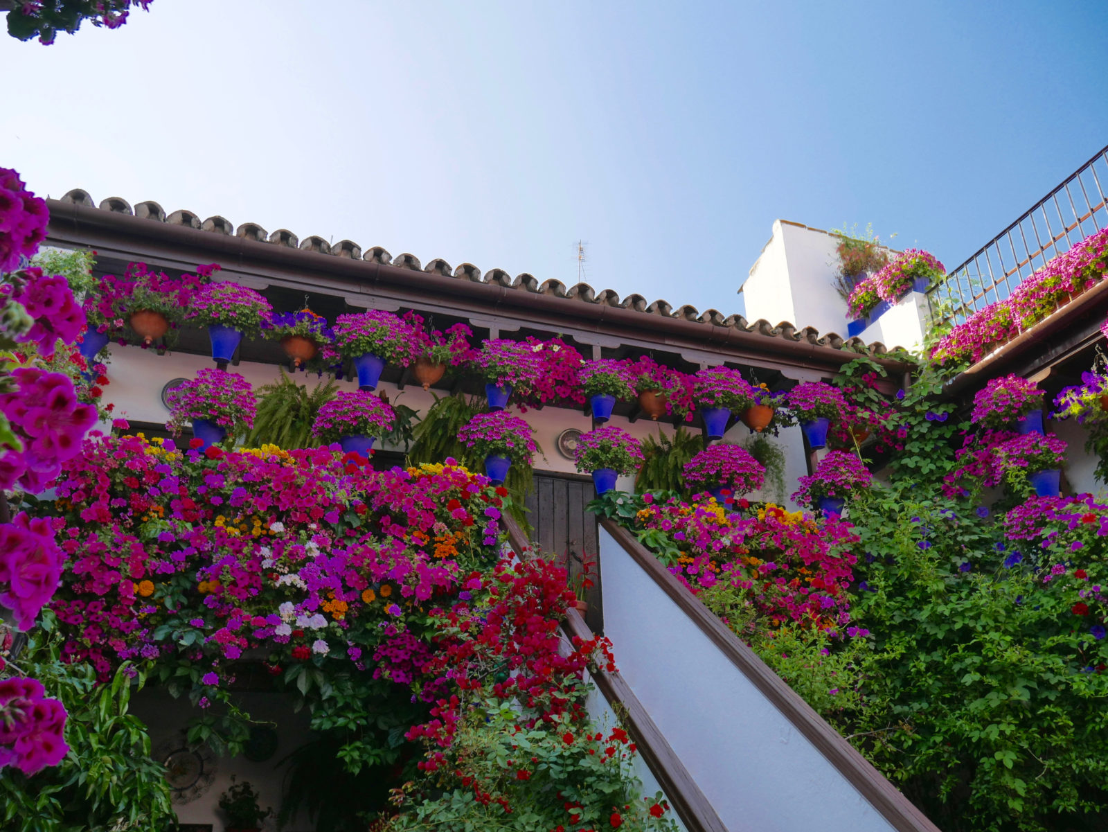 Geheimtipp in Andalusien Córdoba Patio Festival. Die schönsten Blumenhöfe Spaniens