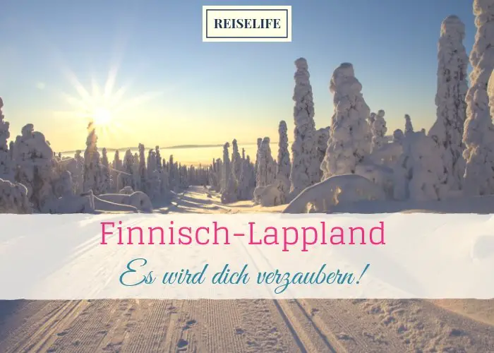 Lappland im Winter – Top 5 Aktivitäten in der Natur!