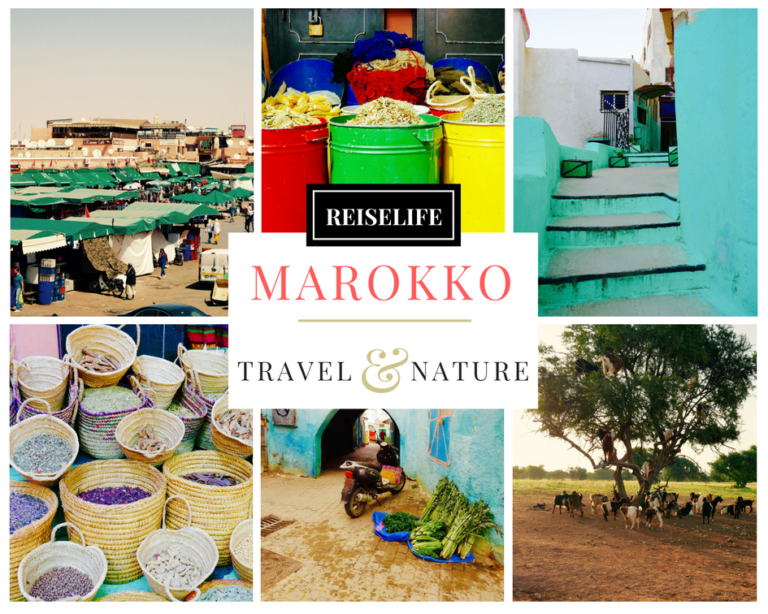 Marokko Händler, Bettler und Touristennepp. Ein Erfahrungsbericht! Reiselife
