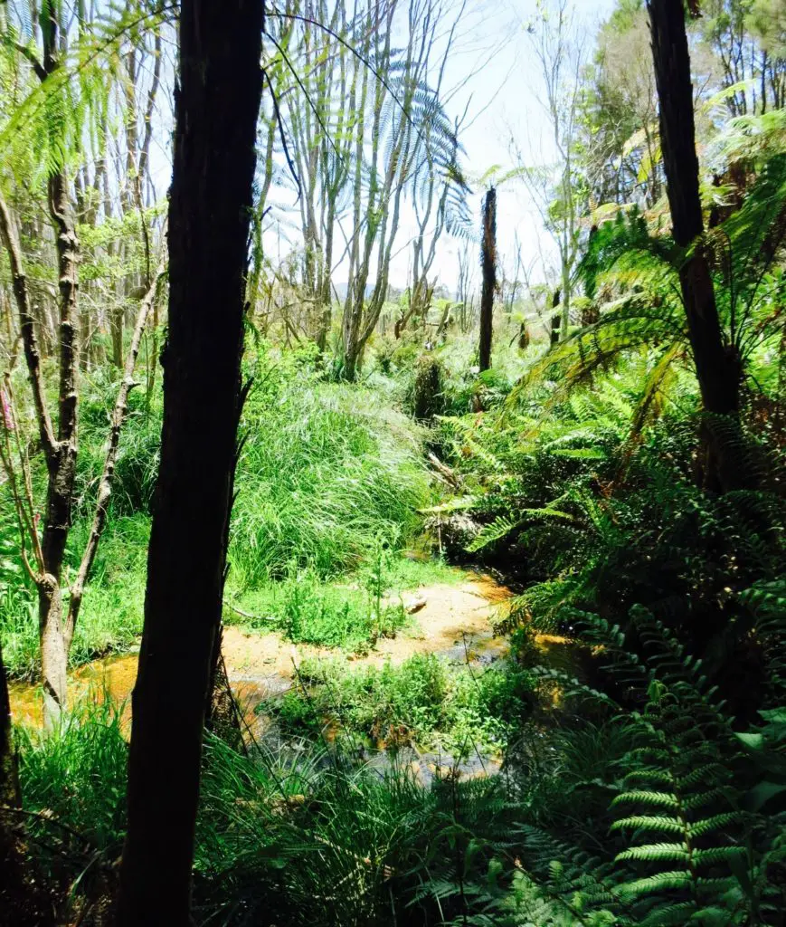 Neuseelands Südinsel Rundreise Aktivitäten Abel Tasman Nationalpark