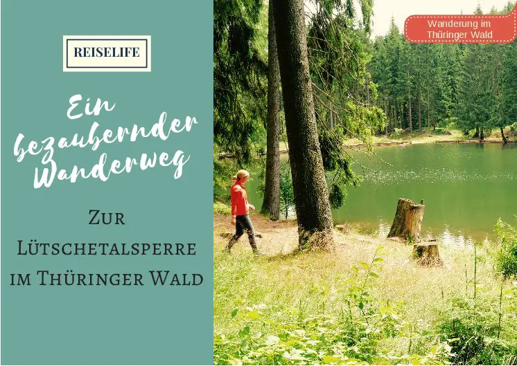 Thüringer Wald: Ein bezaubernder Wanderweg zum Lütschestausee!