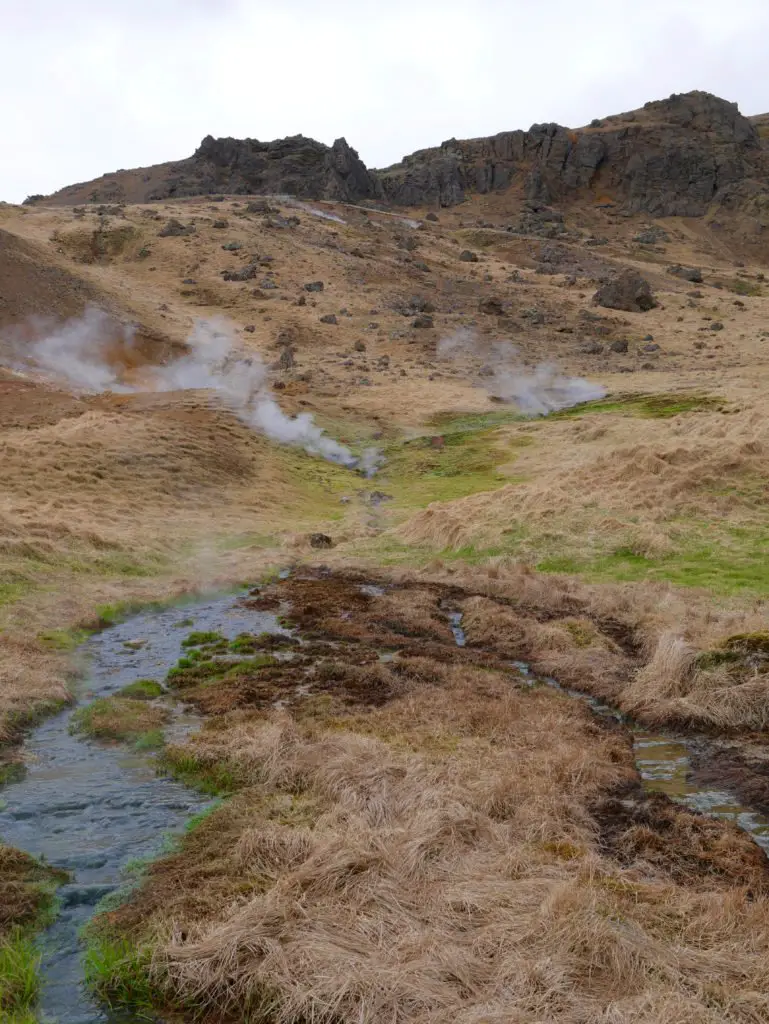Island wandern Reykjadalur - eine aufregende Wanderung in Island zwischen geothermalen Quellen
