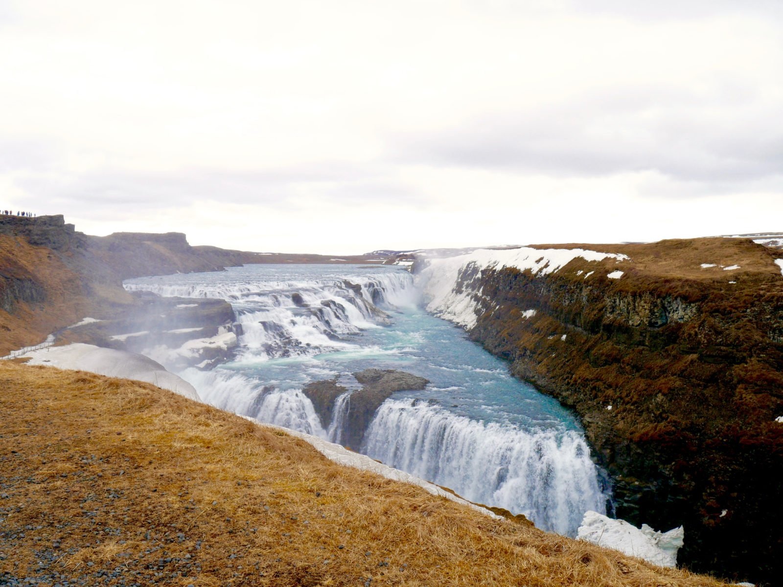 Island - die 5 besten Reykjavik Ausflüge