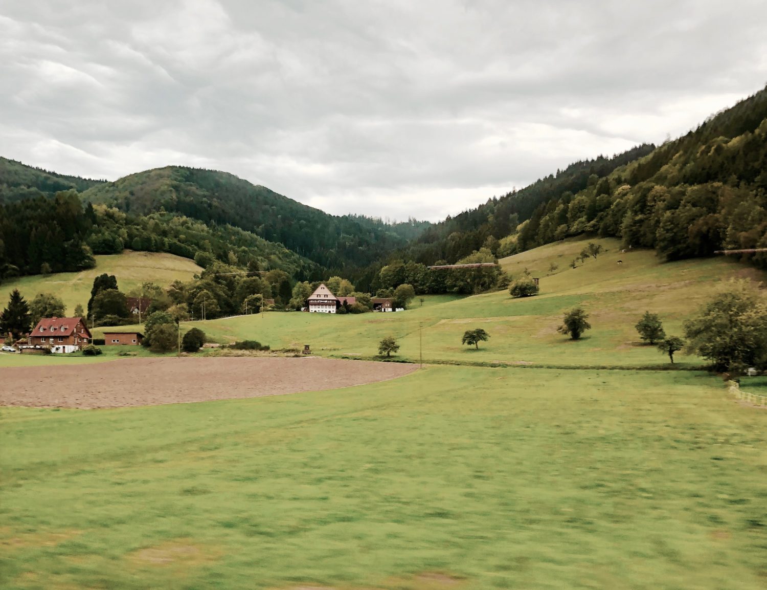 Wo der Schwarzwald am schönsten ist - eine Fahrt mit der Schwarzwaldbahn
