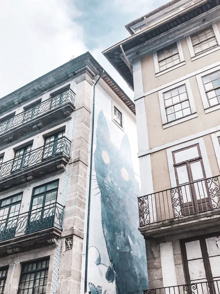 Street Art in Porto. Eine riesige Katze auf einer Hauswand.
