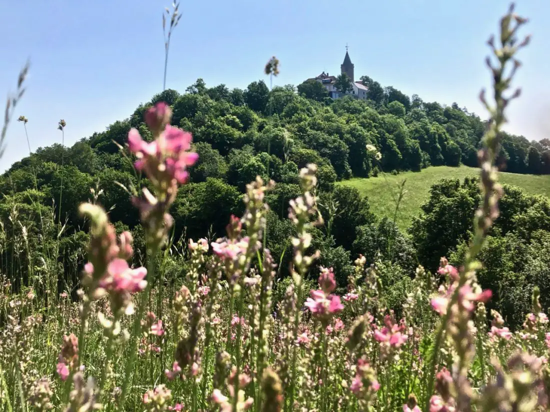 Besuch auf der Leuchtenburg in Thüringen mit den Porzellanwelten