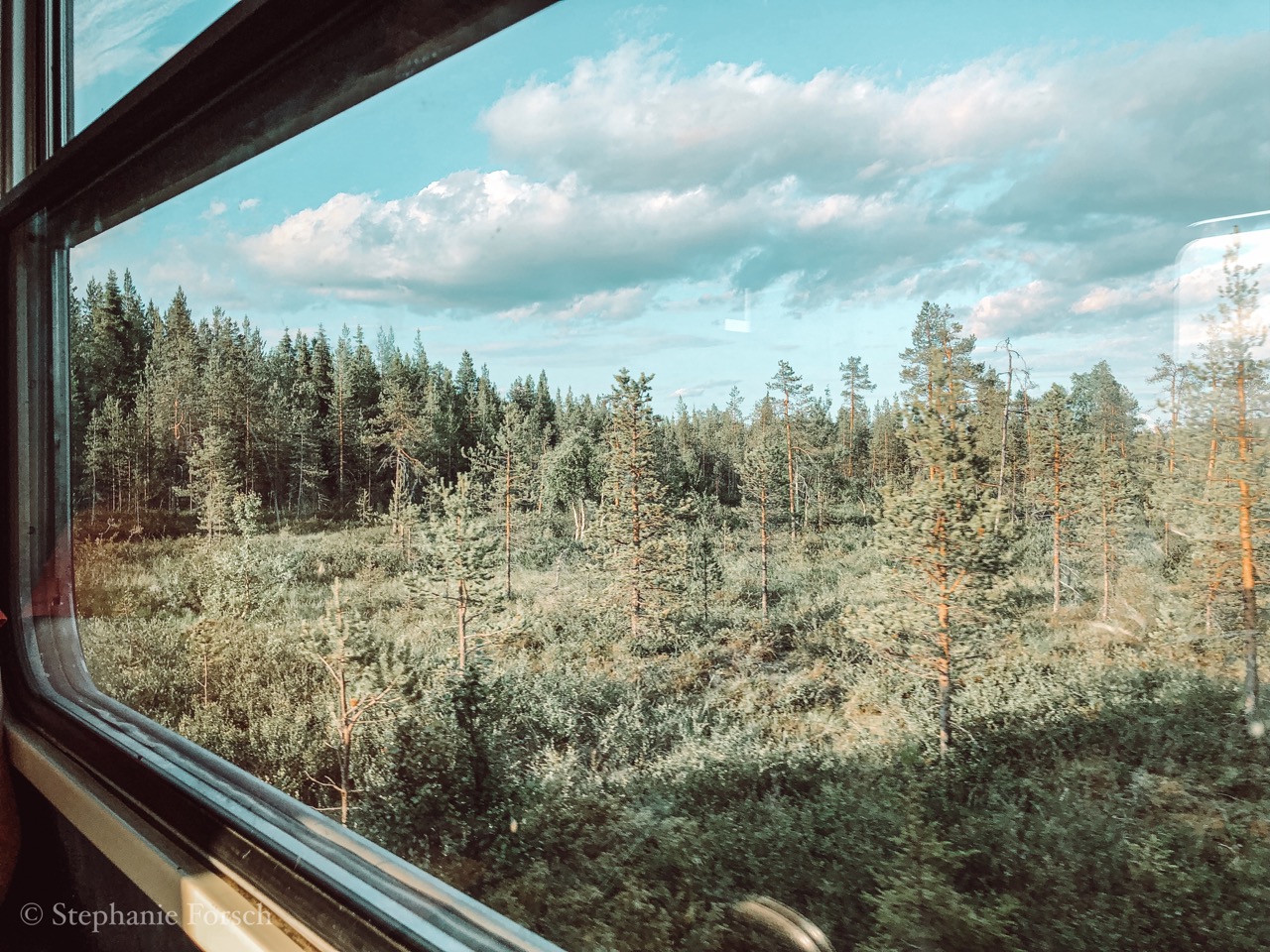 Blick aus dem Fenster bei der Fahrt mit der Inlandsbanan in Schweden