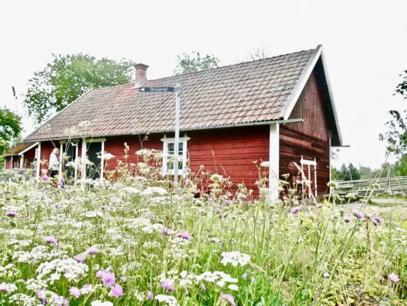 Für deine Reise nach Schweden: Die schönsten Unterkünfte mitten in der Natur!