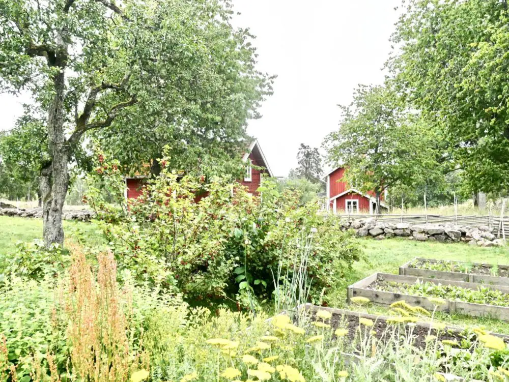 Eine Reise nach Schweden – 10 traumhafte Hütten in der Natur!