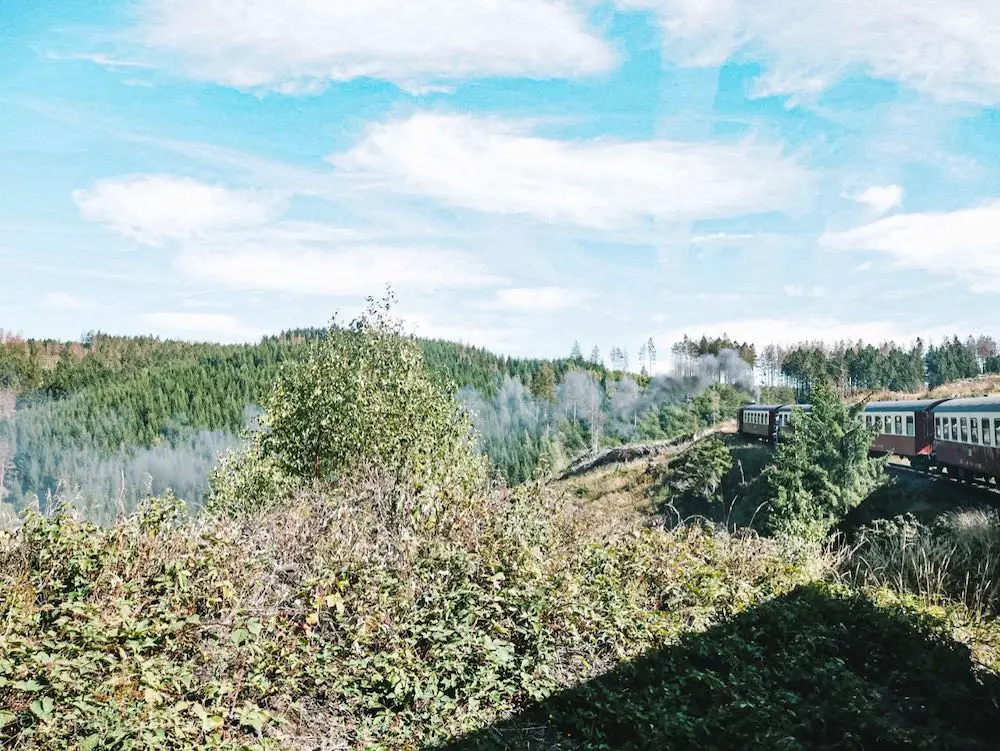 Dampflok der Harzer Schmalspurbahn, Urlaub in Quedlinburg und Wernigerode