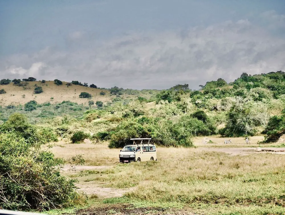 Uganda Rundreise Safari