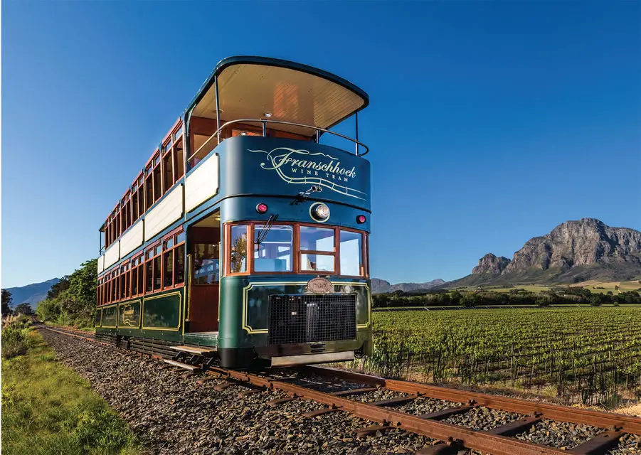 Kapstadt Ausflug Weingüter