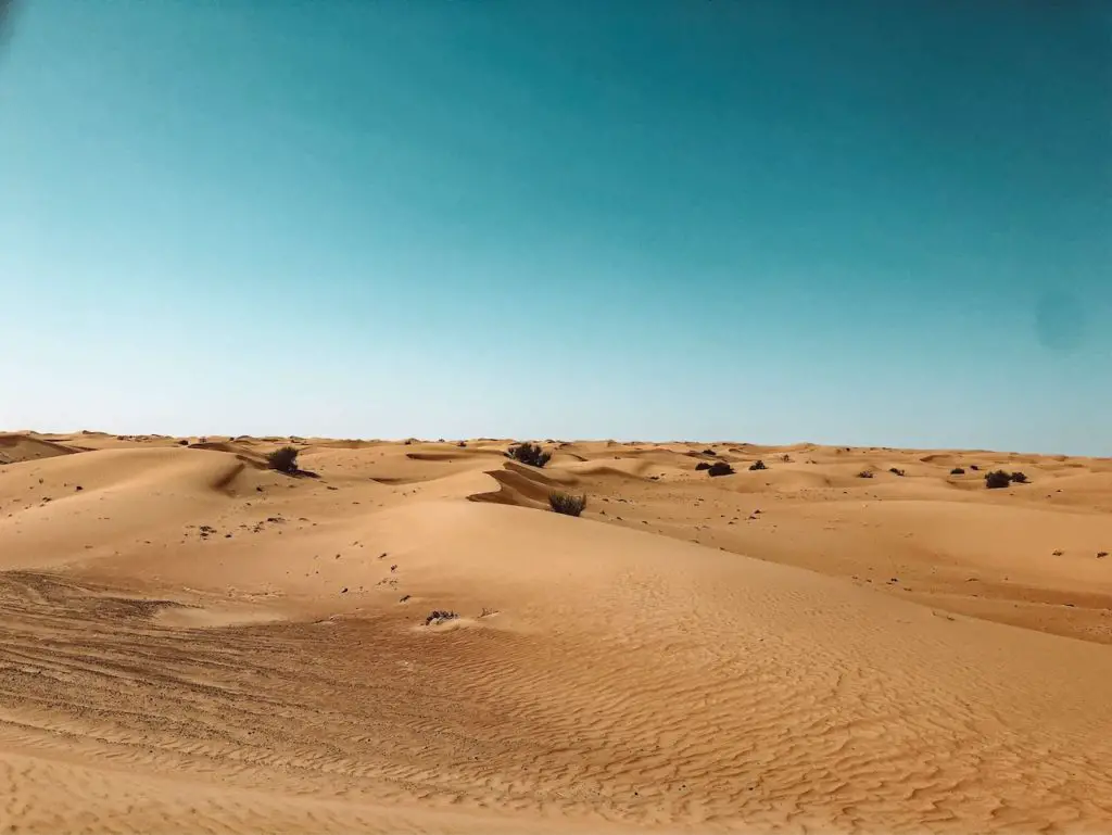 Dubai Roadtrip entlang wundervoller Wüstenlandschaften