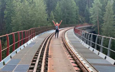 Ziemestalbrücke Wanderung – Märchenhafte Schienenlandschaft!