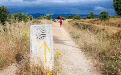 Wandern auf dem Jakobsweg – warum die Wahl der richtigen Agentur so wichtig ist