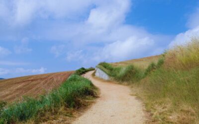 Wandern auf dem Jakobsweg – warum die Wahl der richtigen Agentur so wichtig ist
