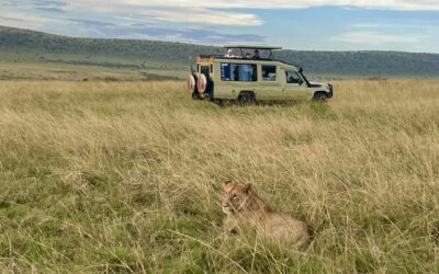 Günstige Safari in die Masai Mara: Meine 3-Tage-Tour ab Nairobi