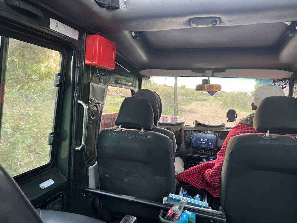 Blick in den Safari Jeep mit 2 Vordersitzen.