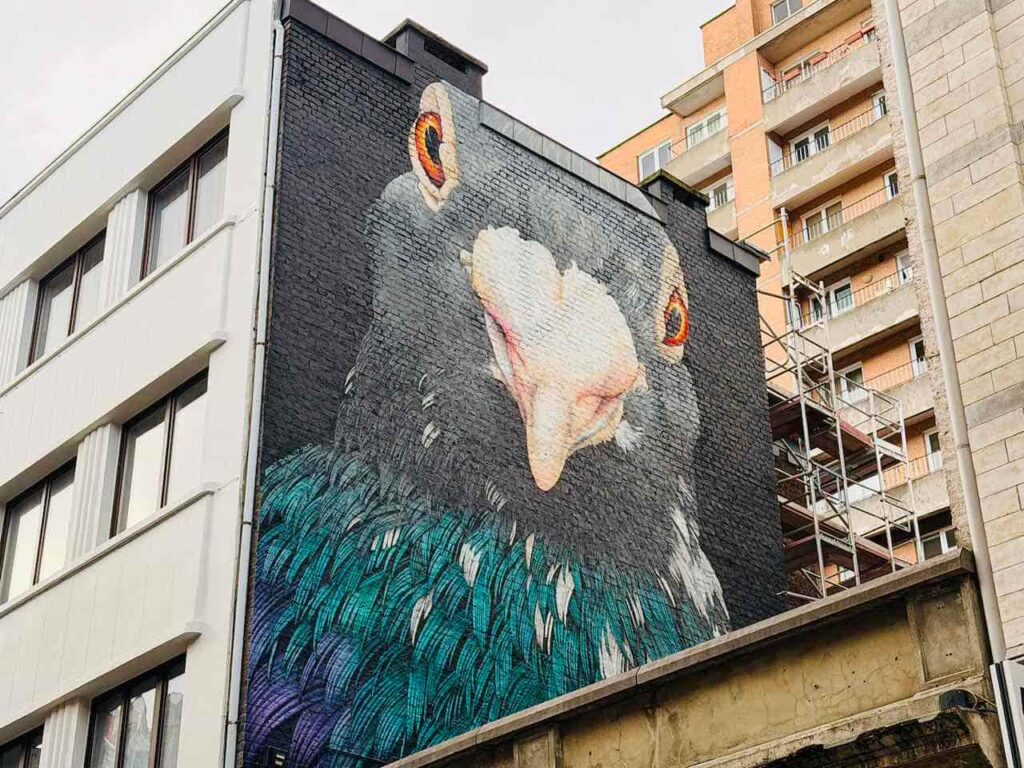 Eine riesige farbenfrohe Taube als Street-Art auf einer Hauswand in Lüttich.